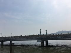 -野狸岛