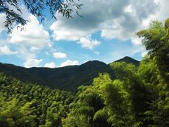 -宁波浙东大竹海景区