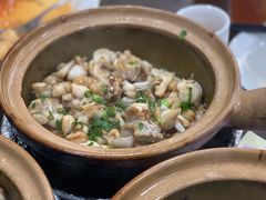 -红星光发煲仔饭(文海店)