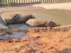 -泉州海丝野生动物世界