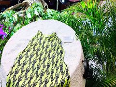 -精绝七日-新疆尼雅遗址数字大展【拉法耶文化艺术中心】