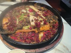 -老板恋上鱼(高新万达店)