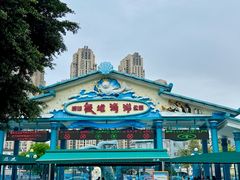-海合安成都极地海洋公园