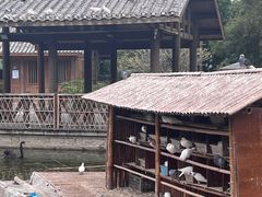 -厦门园林博览苑