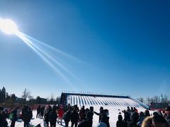-绿野森林乐园冰雪季
