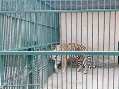 -揭东万竹园旅游景区