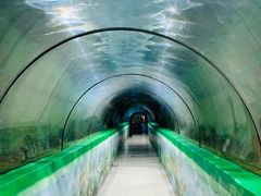 -东方巨龟苑景区