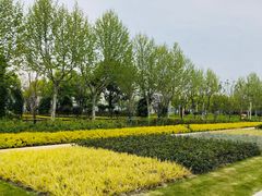 -上海山野camping·户外天幕烧烤·团建拓展营地