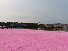 -大塘金香草谷