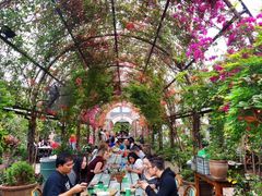 -The Grounds of Alexandria