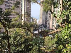 -香港大学