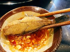 蓝尾耗儿鱼-肥龙火锅(南坪店)