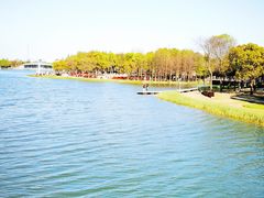 -嘉北郊野公园