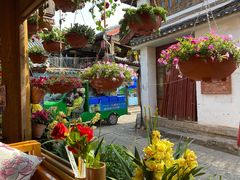 -民食香·腊排骨野生菌美食(木府店)