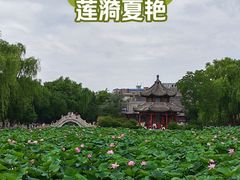 -莲池书院博物馆