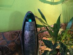 -嘉禾·悦享餐厅(八方汇店)