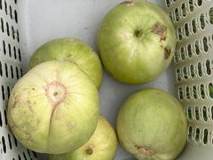 -尚果生态采摘园