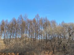 -萨尔浒风景区