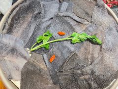 -莽子老火锅(大坪店)