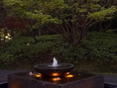 -上海瑞金洲际酒店