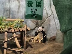 -深圳野生动物园
