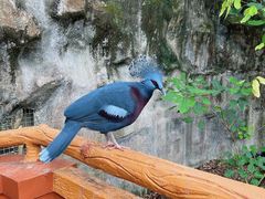 -清迈夜间动物园