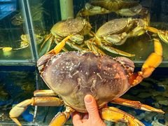 -广记海鲜(杨汊湖一店)