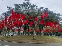 -深圳湾公园(南山区)