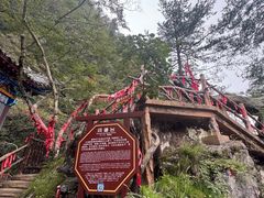 -塔云山