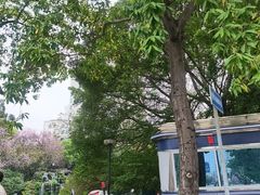 -柳侯公园