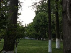-习家池