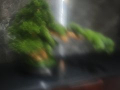 -豫满楼(郑东新区店)