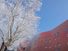 -第二外国语学院-韩国餐厅(朝阳路店)