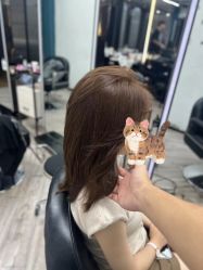 -奈川烫染Salon