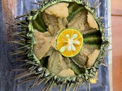 -海胆小馆(东北水饺·春柳店)