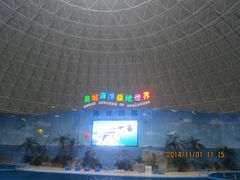 -泉城欧乐堡海洋极地世界