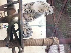 -青藏高原野生动物园