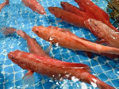 -三旗百汇商品城