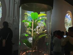 -中国湿地博物馆