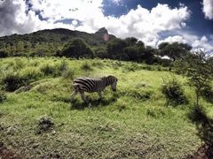 -卡塞拉自然公园