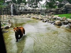 -北京野生动物园