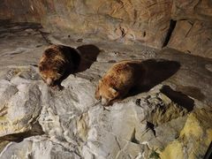 -喷泉广场餐厅·宵夜·海鲜烧烤大排档(长隆企鹅酒店)