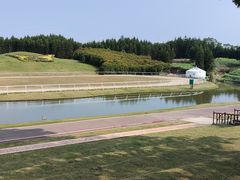-迪茵湖田家舍生态农场