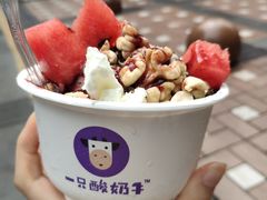 -一只酸奶牛(八一路店)