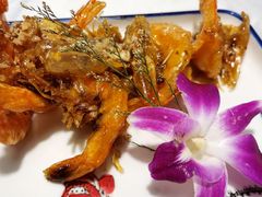 -肆月河豚·新淮扬(金融街店)