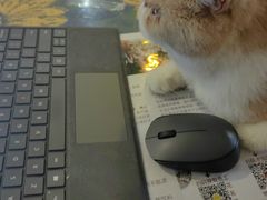-平行世界·猫咖(首经贸店)