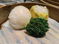 -南海渔村(珠江新城店)