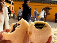 -西园寺素食(西园弄戒幢律寺店)