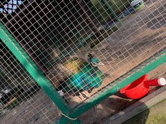 -八大山人梅湖景区