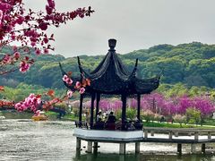 -苏州上方山国家森林公园